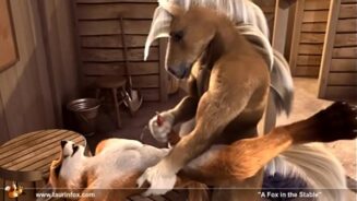 Horse Gay Porn - Safado sex gay horse porn sex - Porno Tarado