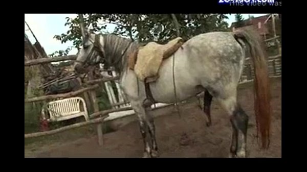 Hores Xxx Video - Porn video zoophilia horse xxx - Porno Tarado